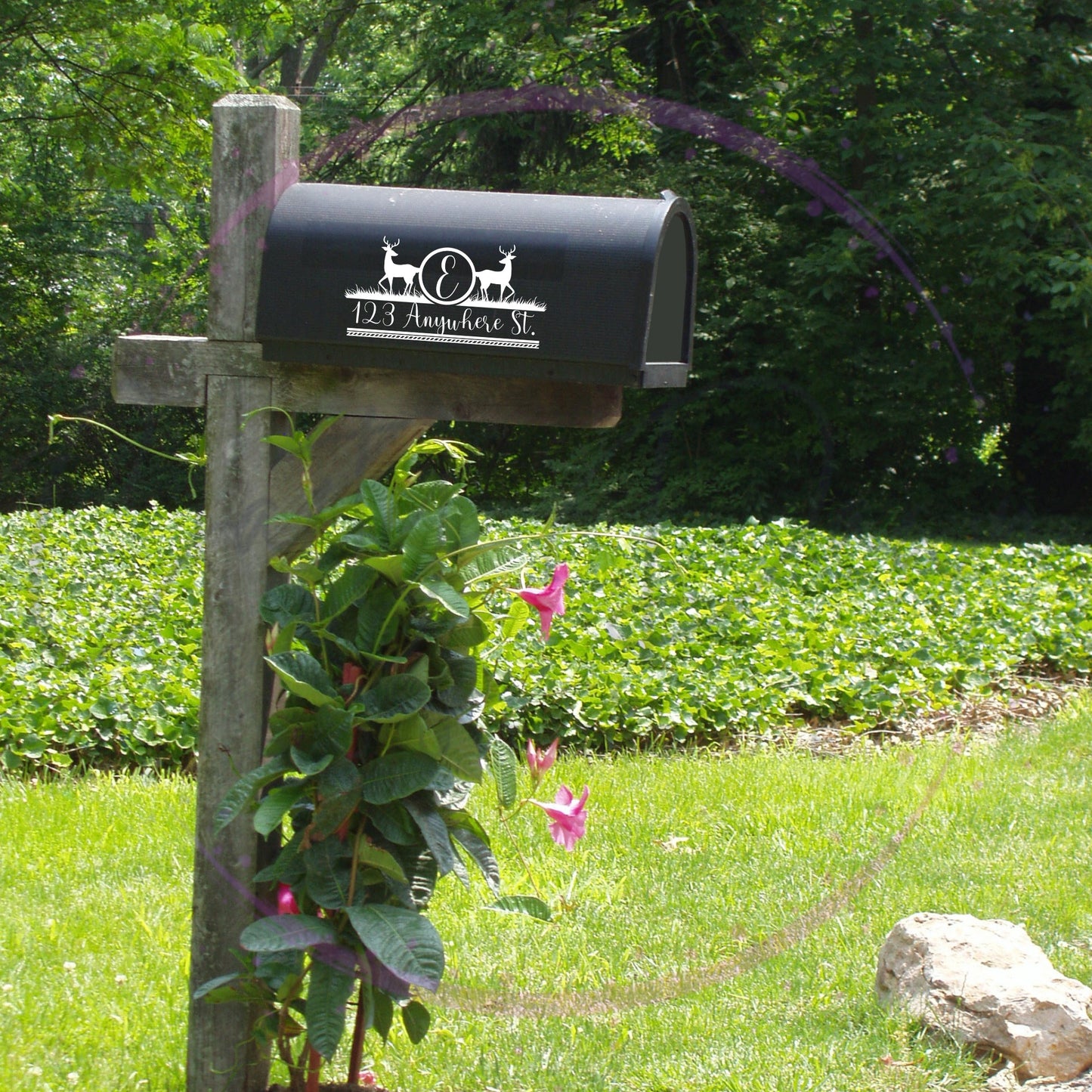 Deer Mailbox Decal